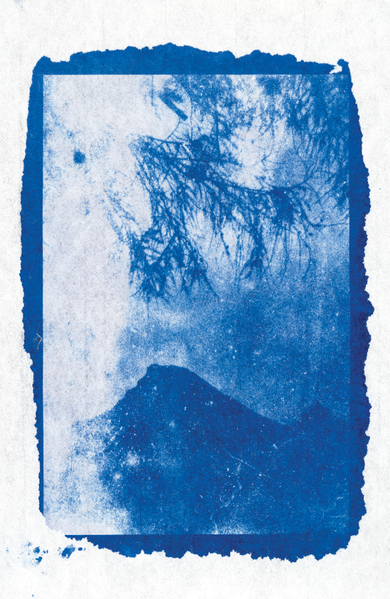 Blue-toned abstract art with a mountain and trees on a white background